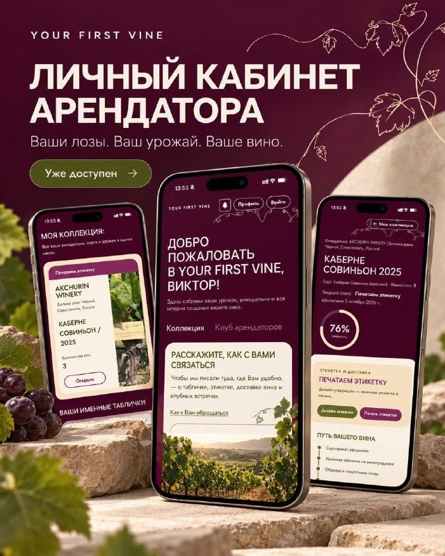 Мы наконец-то запустили личный кабинет арендатора YOUR FIRST VINE 🍇