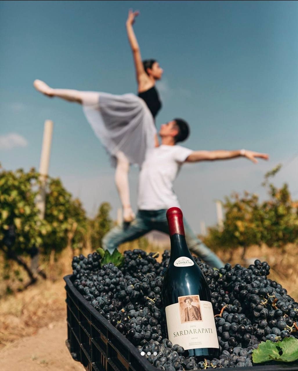 24 июня состоится клубная встреча YOUR FIRST VINE в Армении. Раскрываем подробности