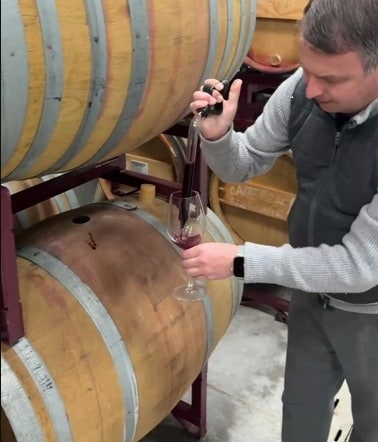 Мерло 2025 - репортаж с винодельни Akchurin Winery.