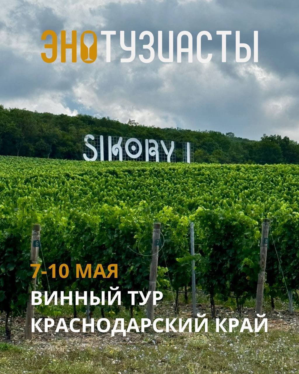 Если вдруг у вас еще нет планов на майские праздники, предлагаем Вам погрузиться в виноделие Краснодарского края с нашей командой.