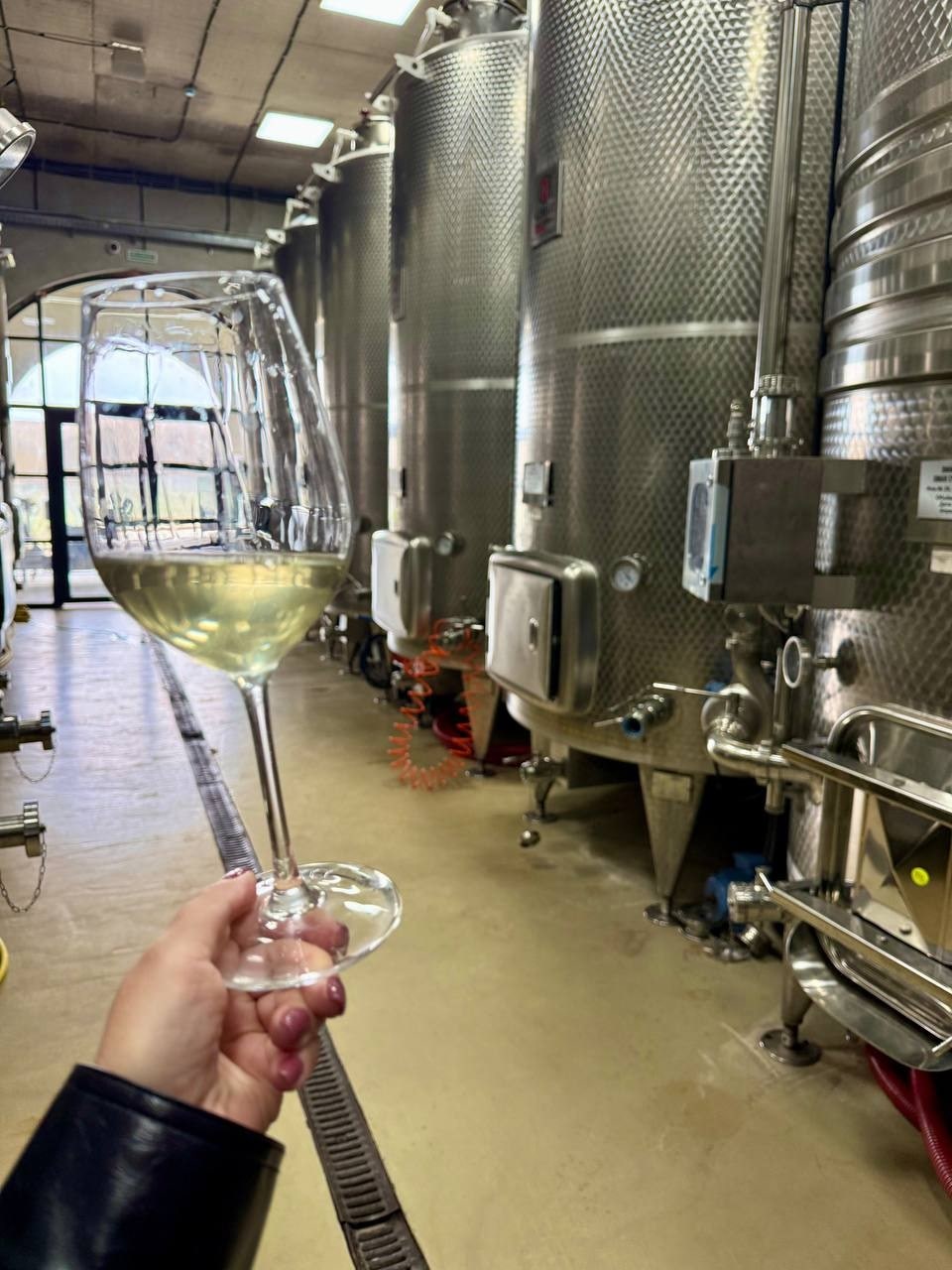 Шардоне 2025 - репортаж с винодельни Akchurin Winery