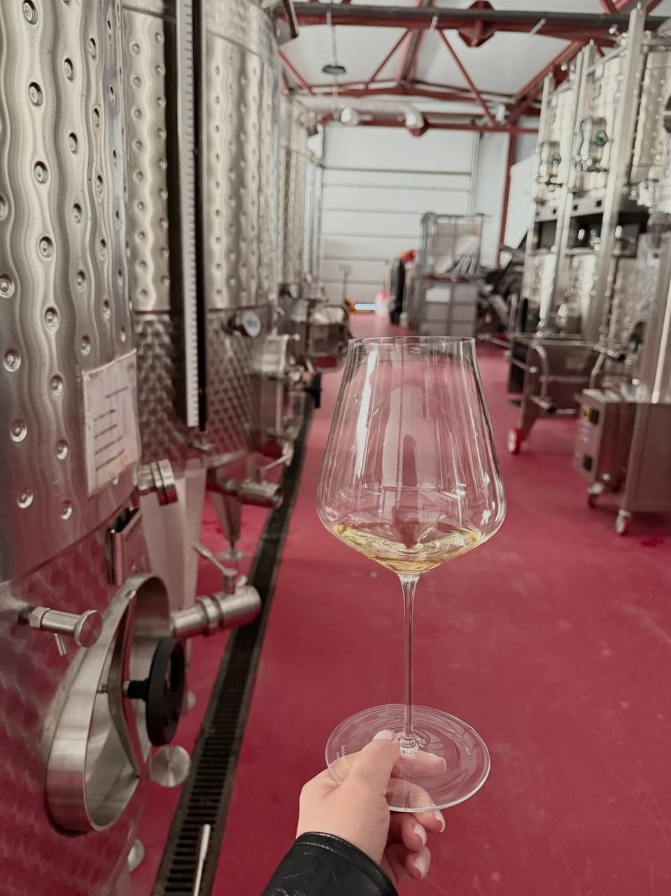 РЕЛИКТА 🍇 ШАРДОНЕ 2025