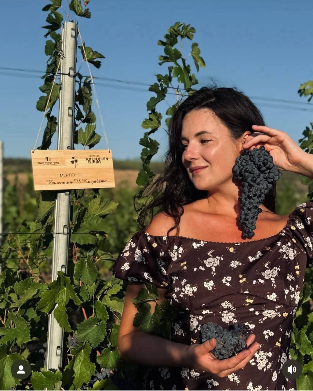 В гости к своим лозам: визит наших арендаторов в Akchurin Winery