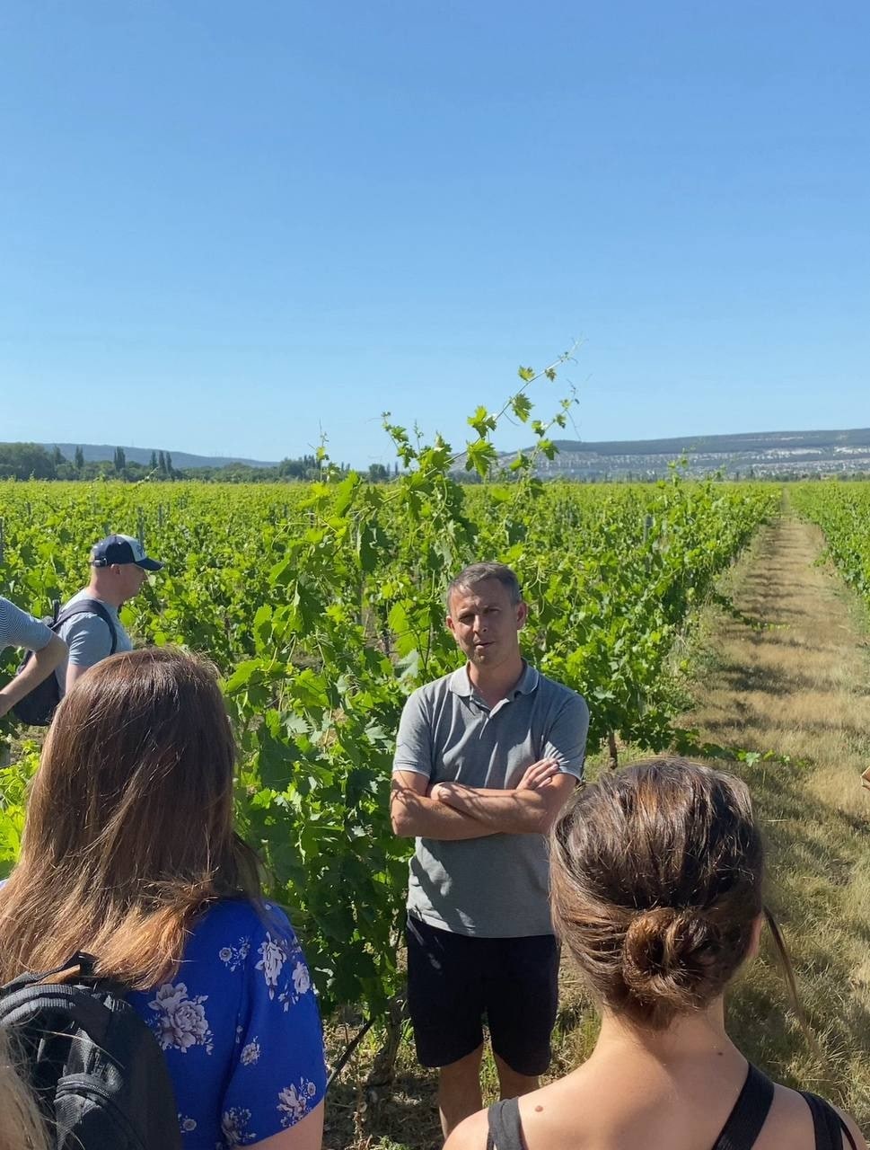 🍇 Капельный полив виноградника: за и против 🍇